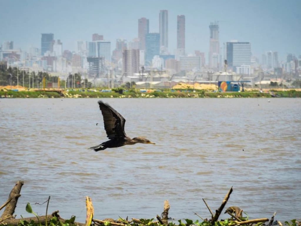 Barranquilla